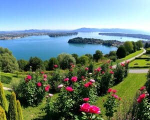 Rapperswil-Jona: Seeblick und Spaziergänge im Rosengarten