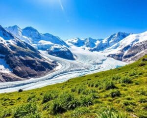 Neustift: Stubaital und Gletschererlebnisse