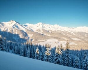 Verbier: Tiefschneeträume im Wallis entdecken