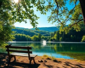 Warum ist der Schwarzwald so erholsam?